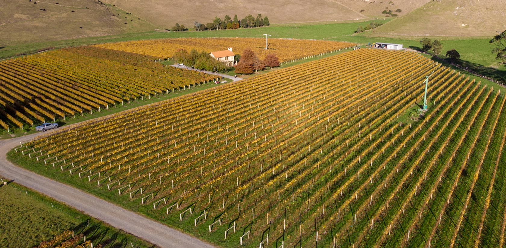 Alchemy Wines Vineyard from Above